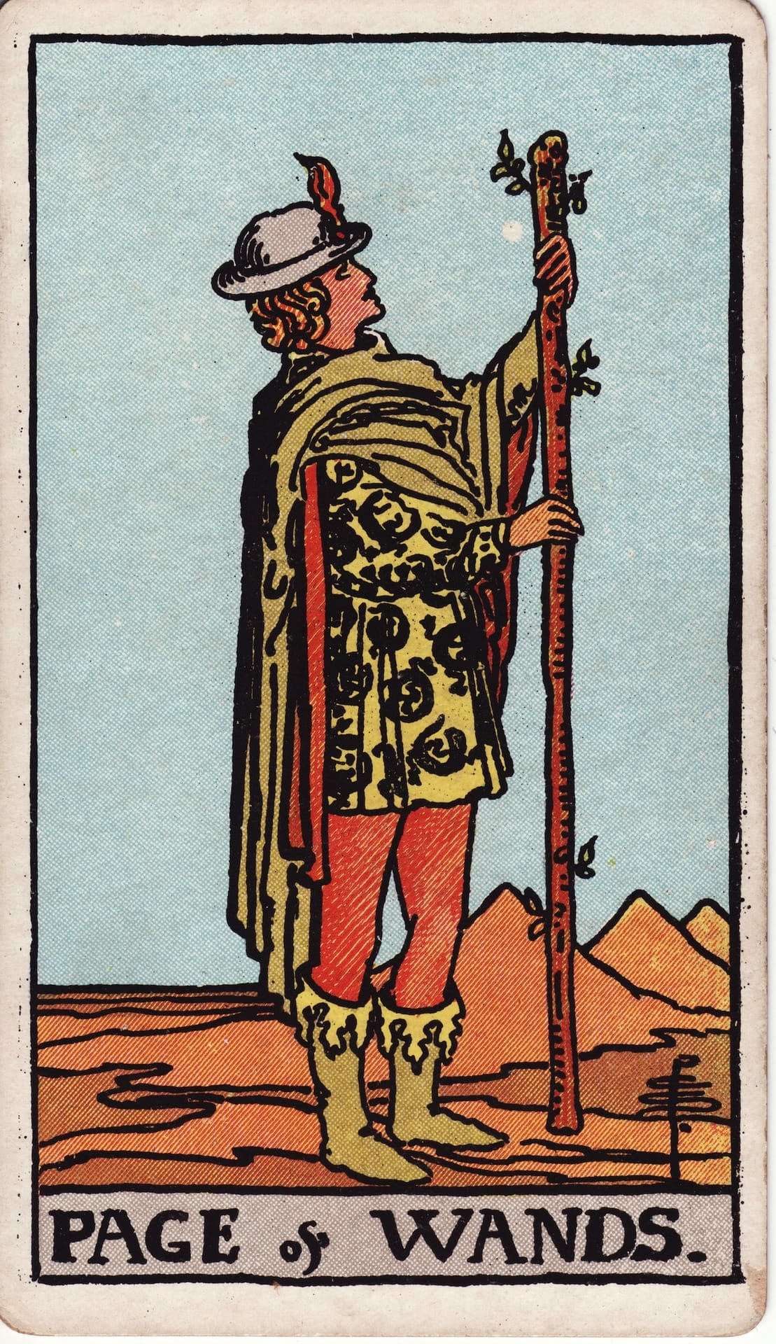 Page of Wands tarot card - Minor Arcana - inspiration, ideas, discovery